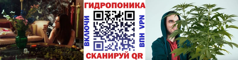 Купить закладки  Лесосибирск  Шишки марихуана VHQ 